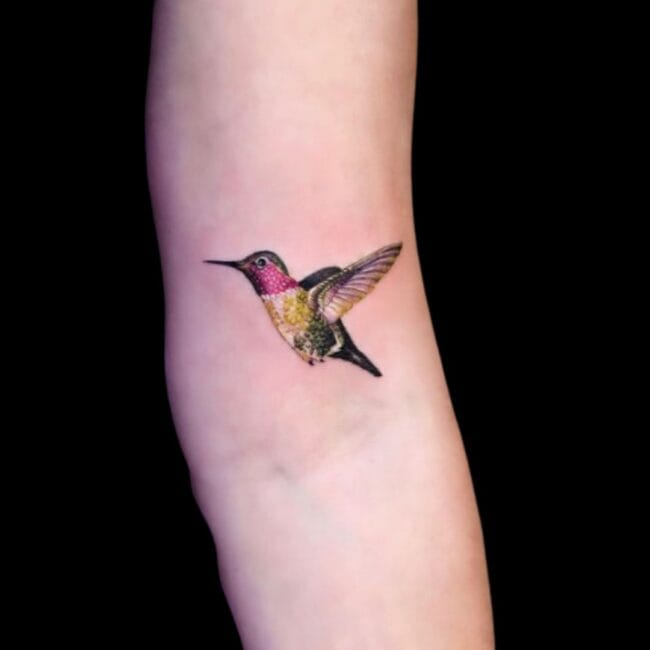 Realistic Hummingbird Tattoo