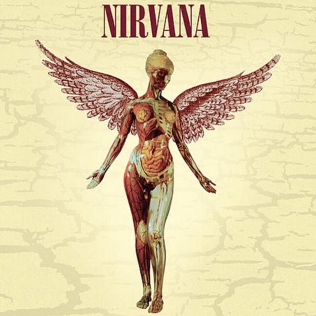 Nirvana In Utero Music Album Cover Woman with Angel Wings