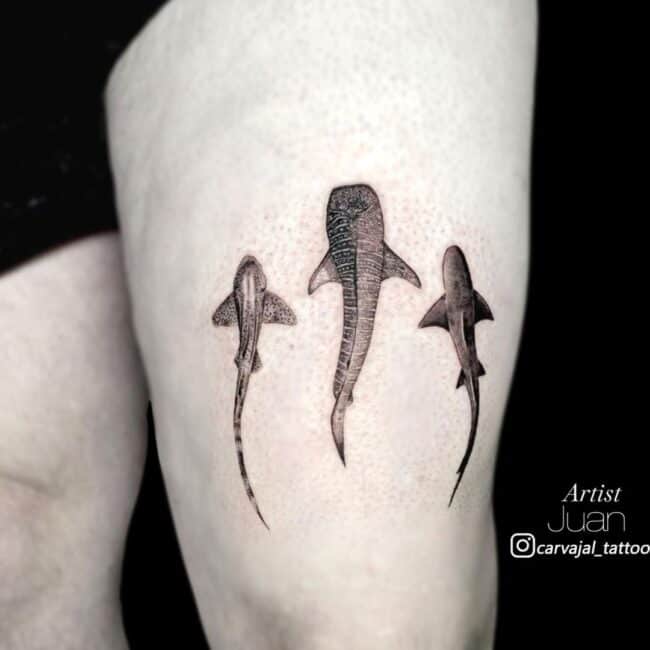 Juan Tattoo Artist Black and Grey Realism Three Different Swimming Fish Next To Each Other View From Top Thigh Leg Tattoo