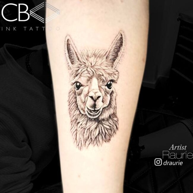 Raurie Tattoo Artist Realism Black and Grey Llama Head Nice Smiling Cute Forearm Tattoo