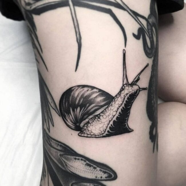 Detailed Blackwork Snail Tattoo with Lifelike Textures and Fine Shading Shell Eyes Tentacles Leg Tattoo