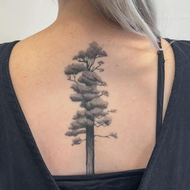 Black and Grey Realism Tree Detailed Leaves Stem Branches Vines Elements Spine Back Tattoo